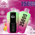 BANG LARGE SCREEN 25000口一次性可充電電子煙｜熱賣超大容量款