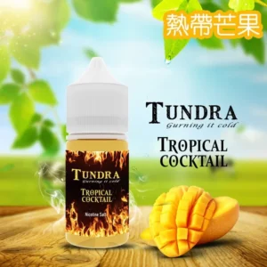 TUNDRA T牌芒果味小煙油